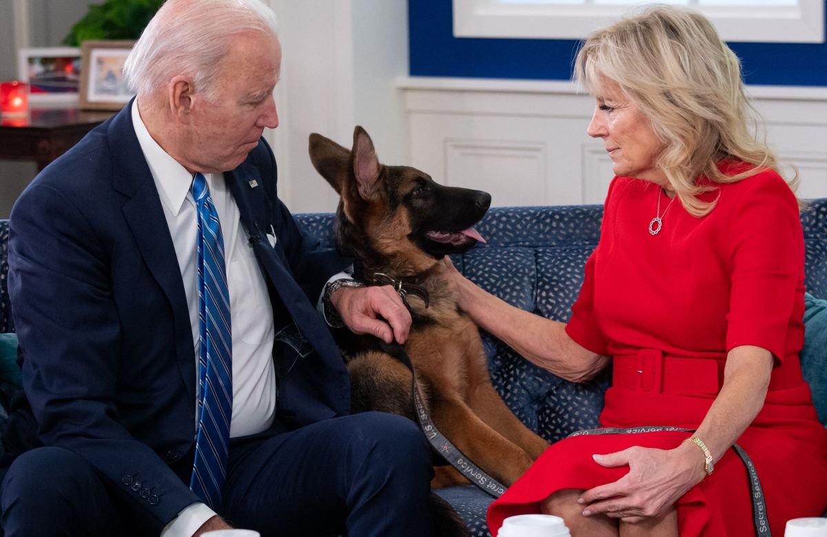 See, Commander bit some Secret Service agents in the ass for a reason. Trust the dog, vote Joe Biden in November.