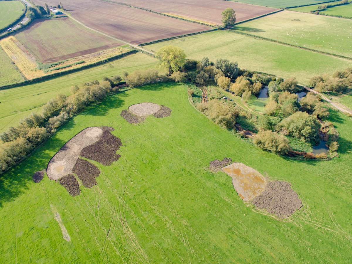 🌟 We're thrilled to reveal our new wetland creation project at Lopemede Farm. Made possible by collaborating with farmer Eddie Rixon, @BucksCouncil & @TOE_oxon to create a brand-new Habitat Bank! 🌳🐦buckinghamshire.gov.uk/news/council-p…