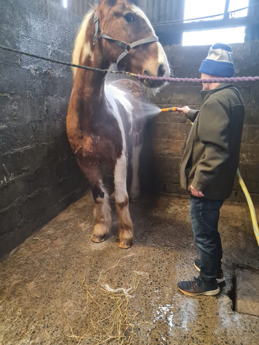 Lots of activity on the Shore Farm in Mayo with guys from Praxis Care taking care of the horses and tidying the sheds! Social farming focuses on people's potential rather than limitations! Check out our website socialfarmingireland.ie!