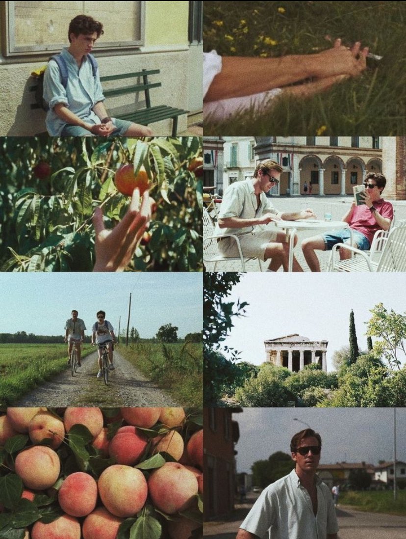 Summer board inspo 💌🌾
#Italy #CallMeByYourName 
#ElioPerlman #TimothéeChalamet 
#ArmieHammer #Oliver