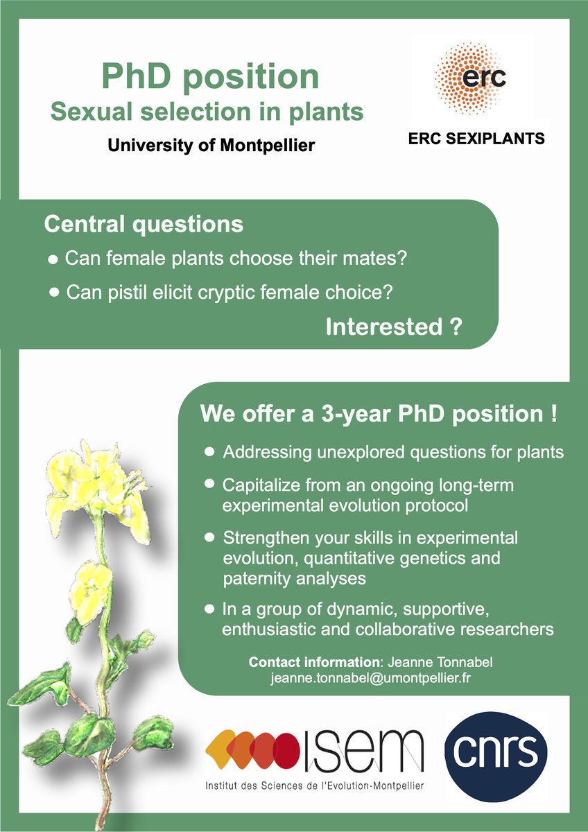 Interested in sexual selection in plants? This PhD position might be for you! Please get in touch.