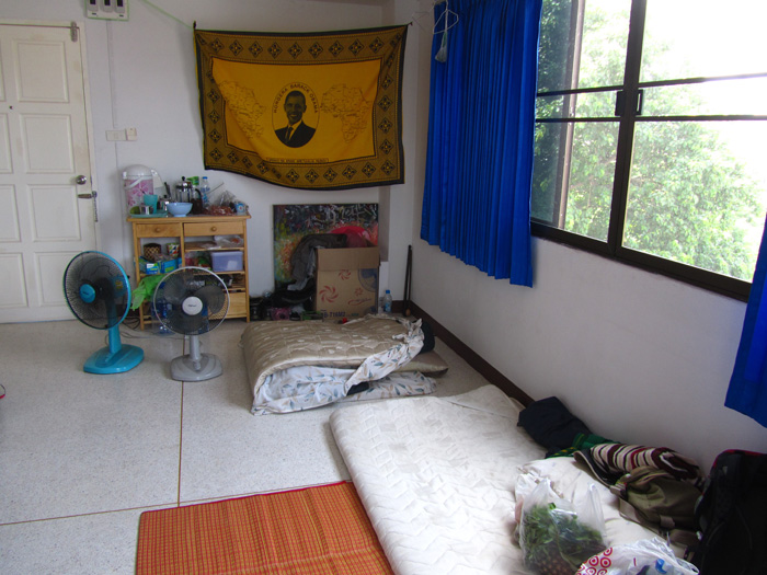 Young dude. This is all you need for peak life.

Move to thailand or get a live in van. Drop rent cost to $200 a month max.

Live next to/sleep outside a bjj/muay thai gym. Bum the wifi. Train combat n work on your laptop till your a millionaire.

With focus this should take 2-3