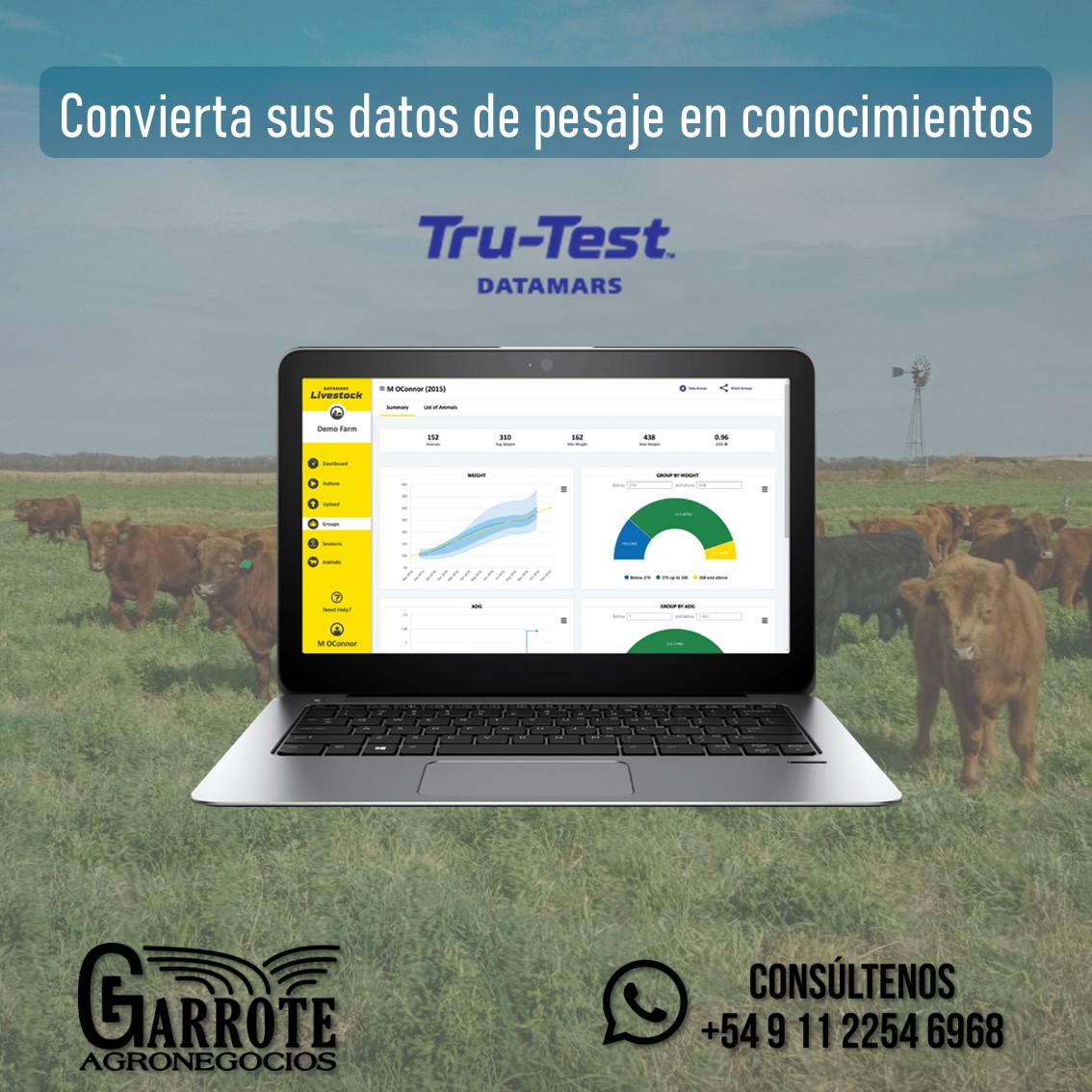 📊 🐮 Potencia el manejo de tu ganadería con el software de Datamars Livestock. Identifica a tus animales y realiza un seguimiento detallado de su desempeño individual. Convertí los datos de pesaje en información clara y útil para tomar decisiones estratégicas.