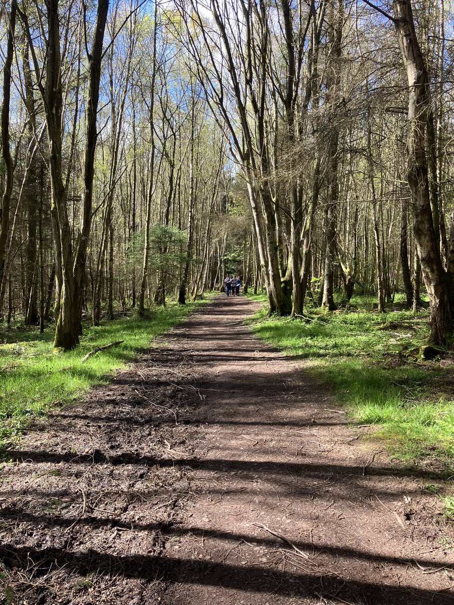 Perfect weather for post-lunch walking 🌞@knoxacademy