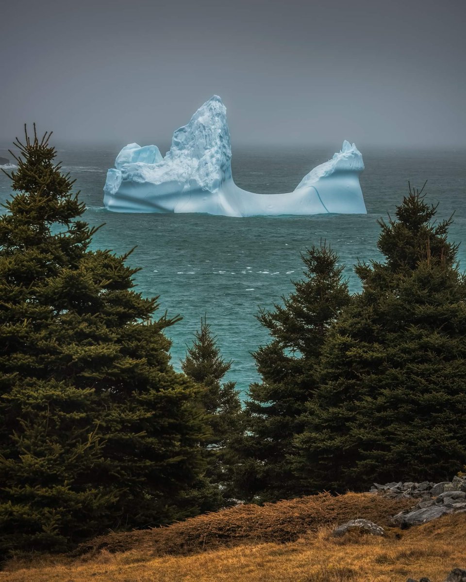 Iceberg from last year off Harbour Grace. Crossing my fingers the winds will change soon and bring some new ones in close. #newfoundland #canada