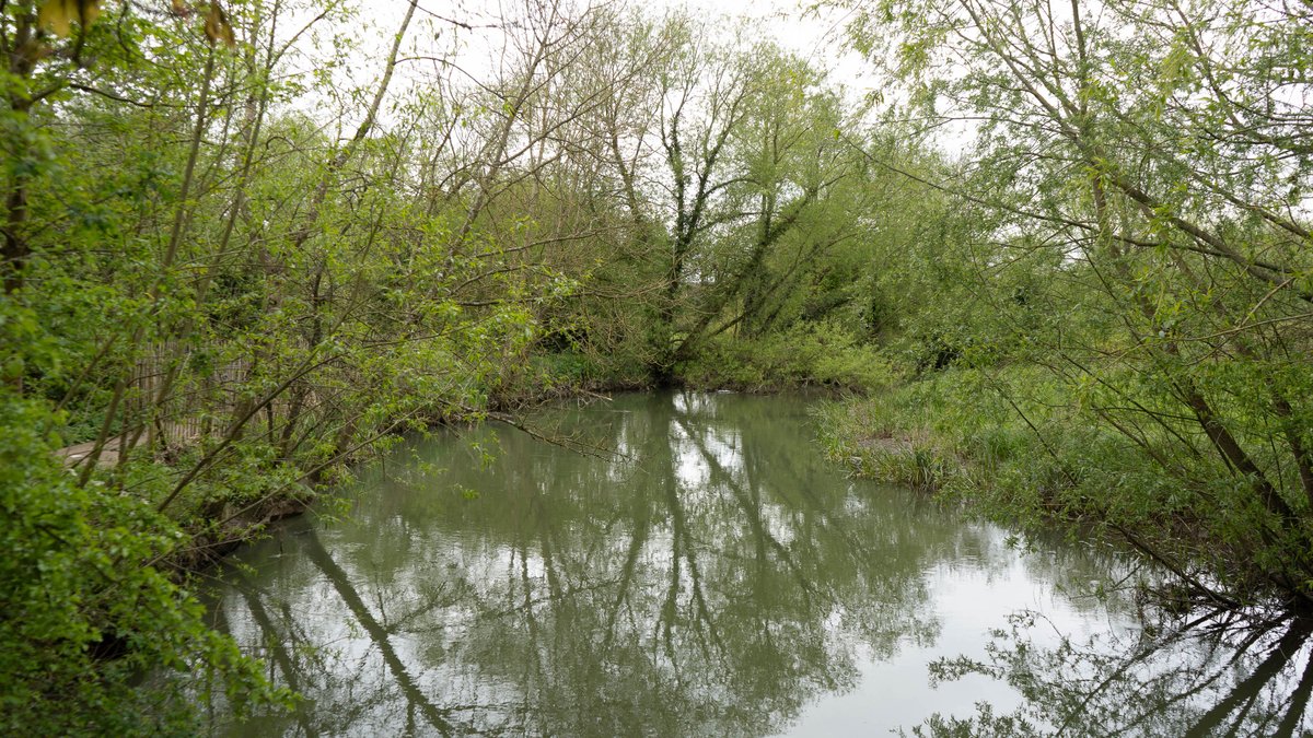 Very green and lush in #Mesopotamia this morning.. #Oxford