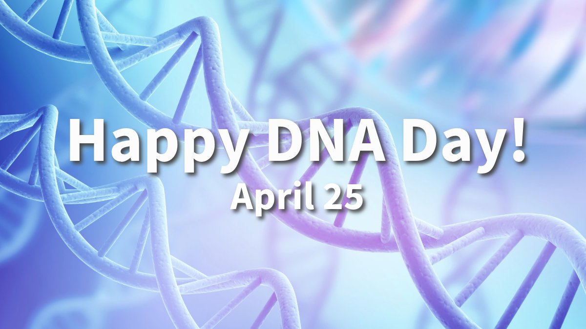 Today let's celebrate #DNA! April 25 is National DNA Day! Find out more about National DNA Day here: genome.gov/dna-day #DNADay2024