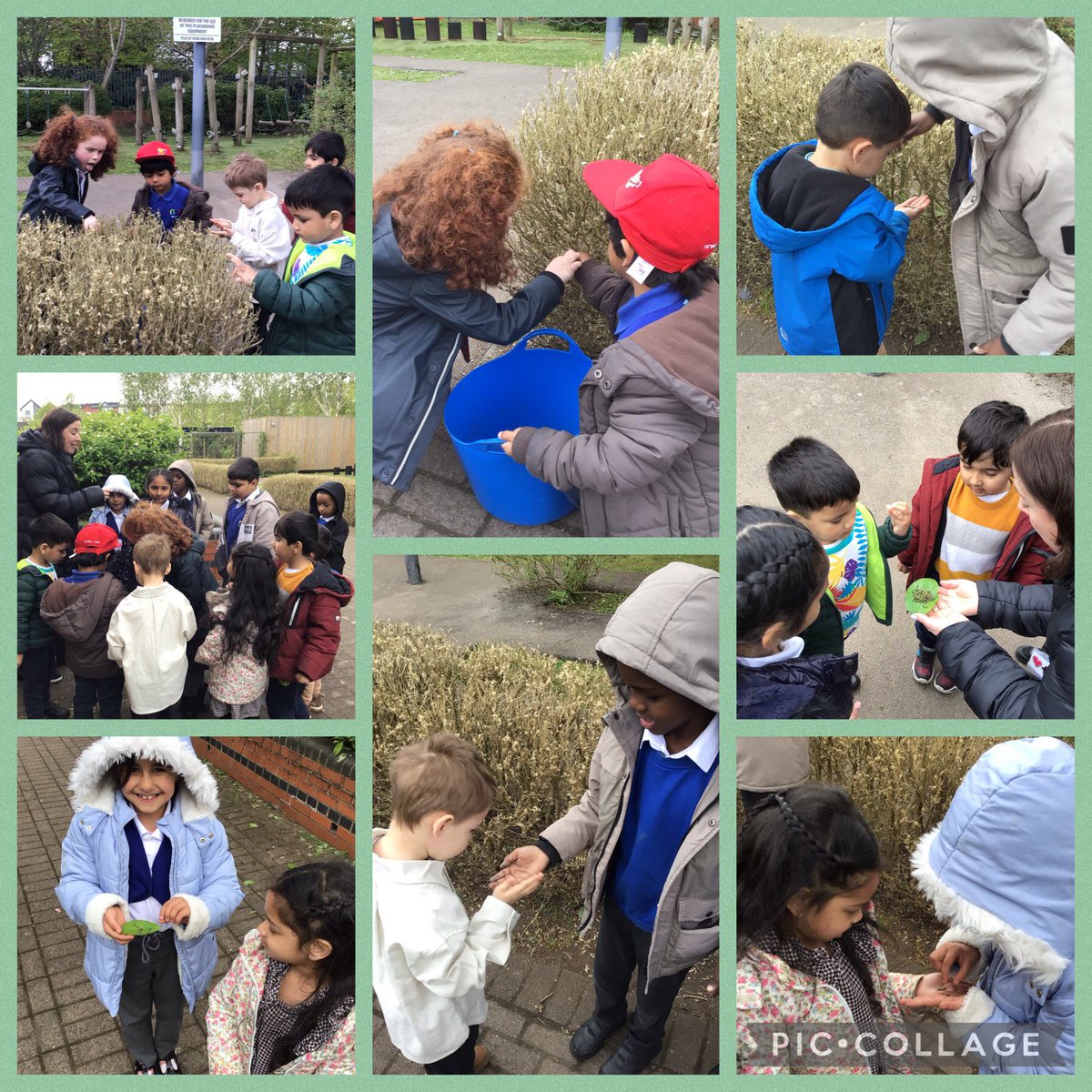 #TeamNursery have been learning all about The Very Hungry Caterpillar so #Team2CW have kindly shown us all the caterpillars they have in their outdoor garden! 🐛💙 
#WalesOutdoorLearningWeek