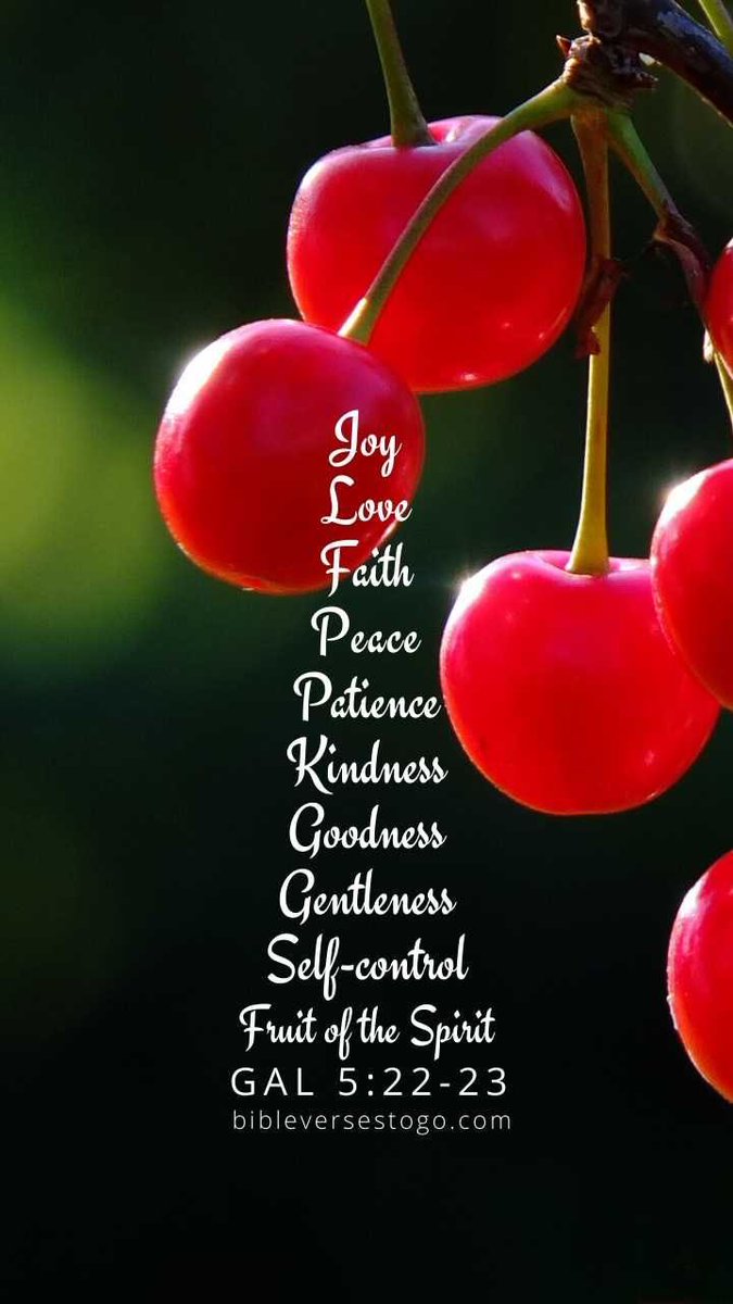 ❤️🕊️☕️📖Good Morning📖☕️🕊️❤️ “But the fruit of the Spirit [the result of His presence within us] is love [unselfish concern for others], joy, [inner] peace, patience [not the ability to wait, but how we act while waiting], kindness, goodness, faithfulness, gentleness,