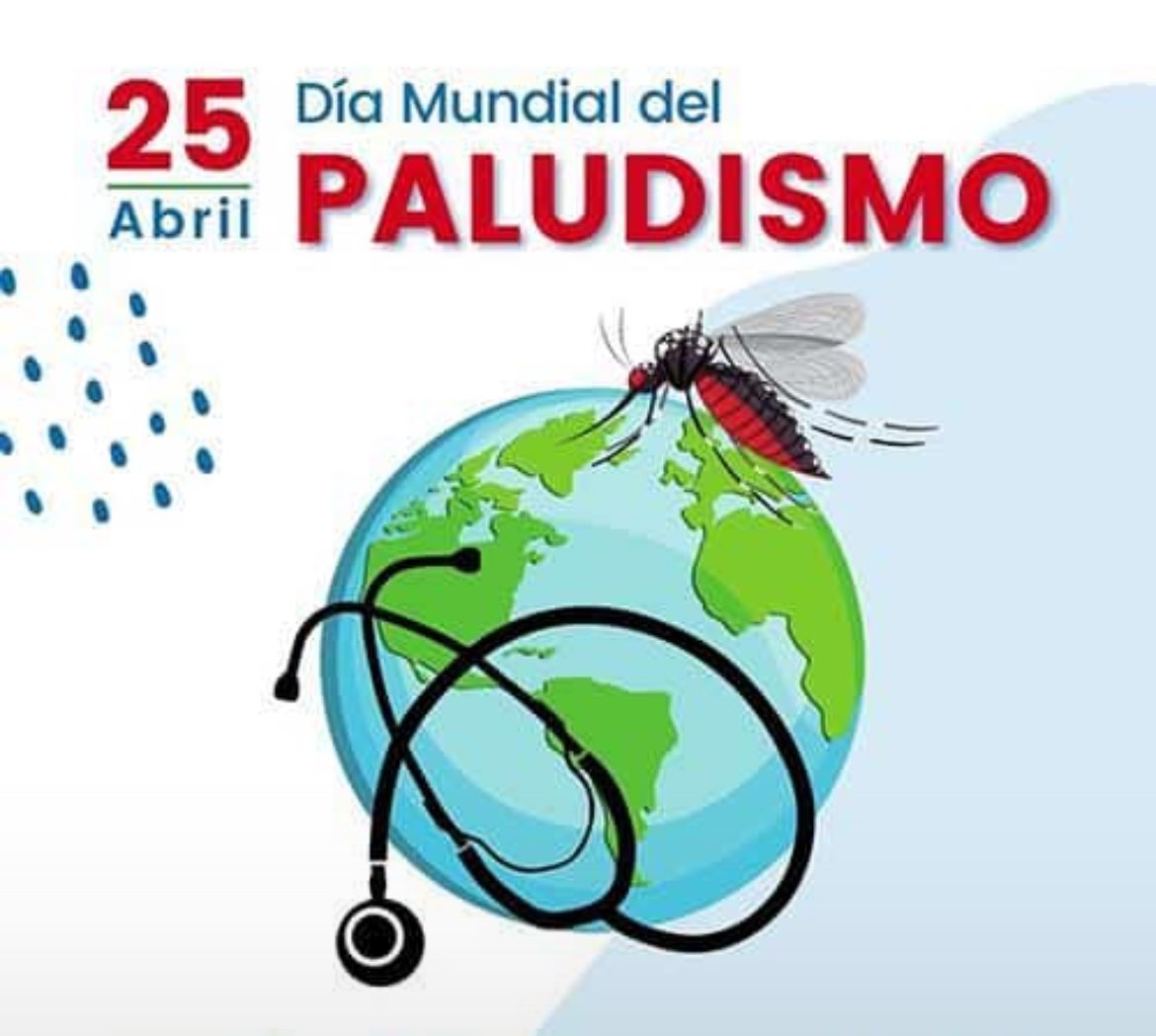 En el Día Mundial del Paludismo, aplaudimos los esfuerzos que despliega el Gobierno a través del #PNLP cuya finalidad es exterminar el mosquito anofeles en Guinea Ecuatorial. Porque entendemos que eliminar los criadores de mosquitos y la basura, también es mantenimiento. 💪