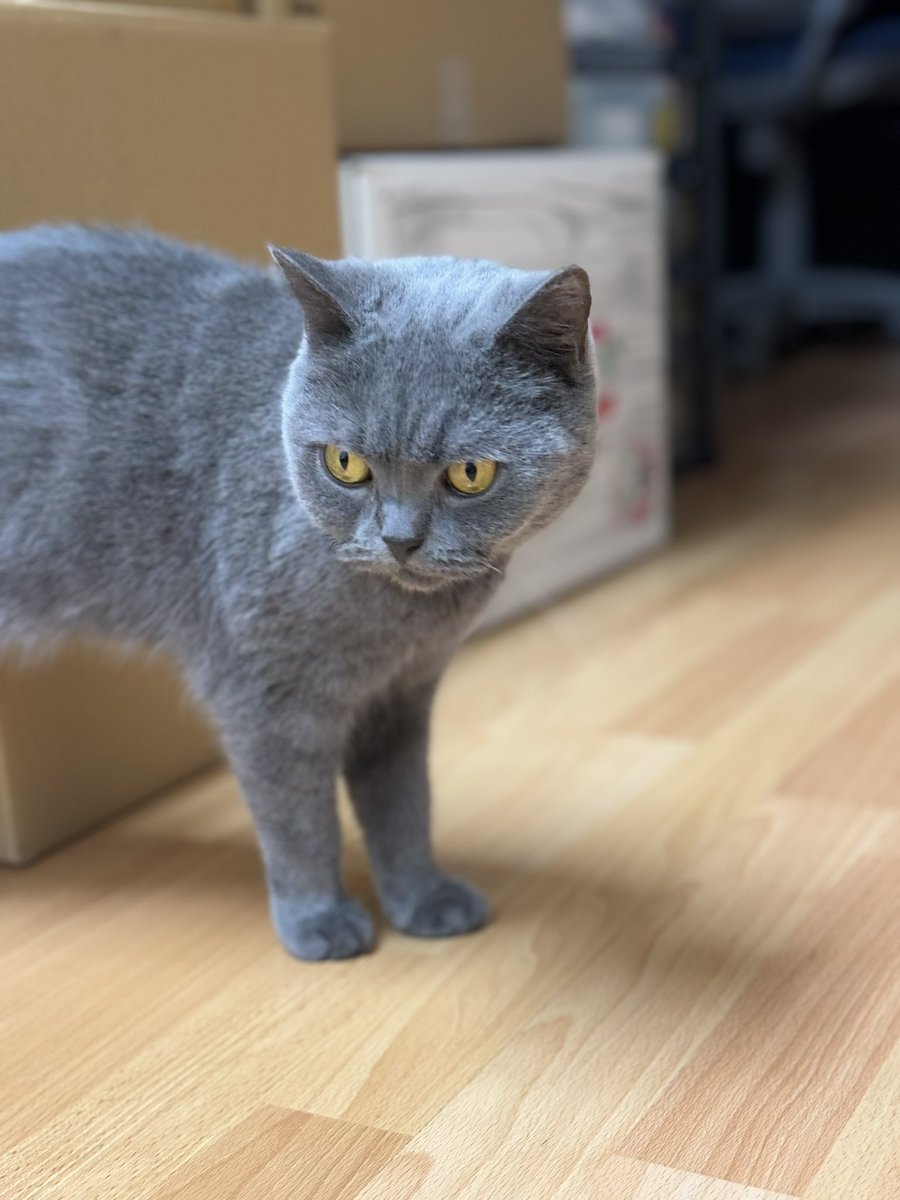 oteraban's tweet photo. 『「ある」と認識する弊害』

人は「ある」と認識するだけで、「流れ」を認識しません。「花はある」と認識するのですが、「花はずっと変わり続けている」とは認識しないのです。
川の場合は、「川がある」と平気で思いますね。しかし川は絶えず流れていきます。

〇P199下‗2-1 #お釈迦様の教え https://t.co/nXNI19DdAF