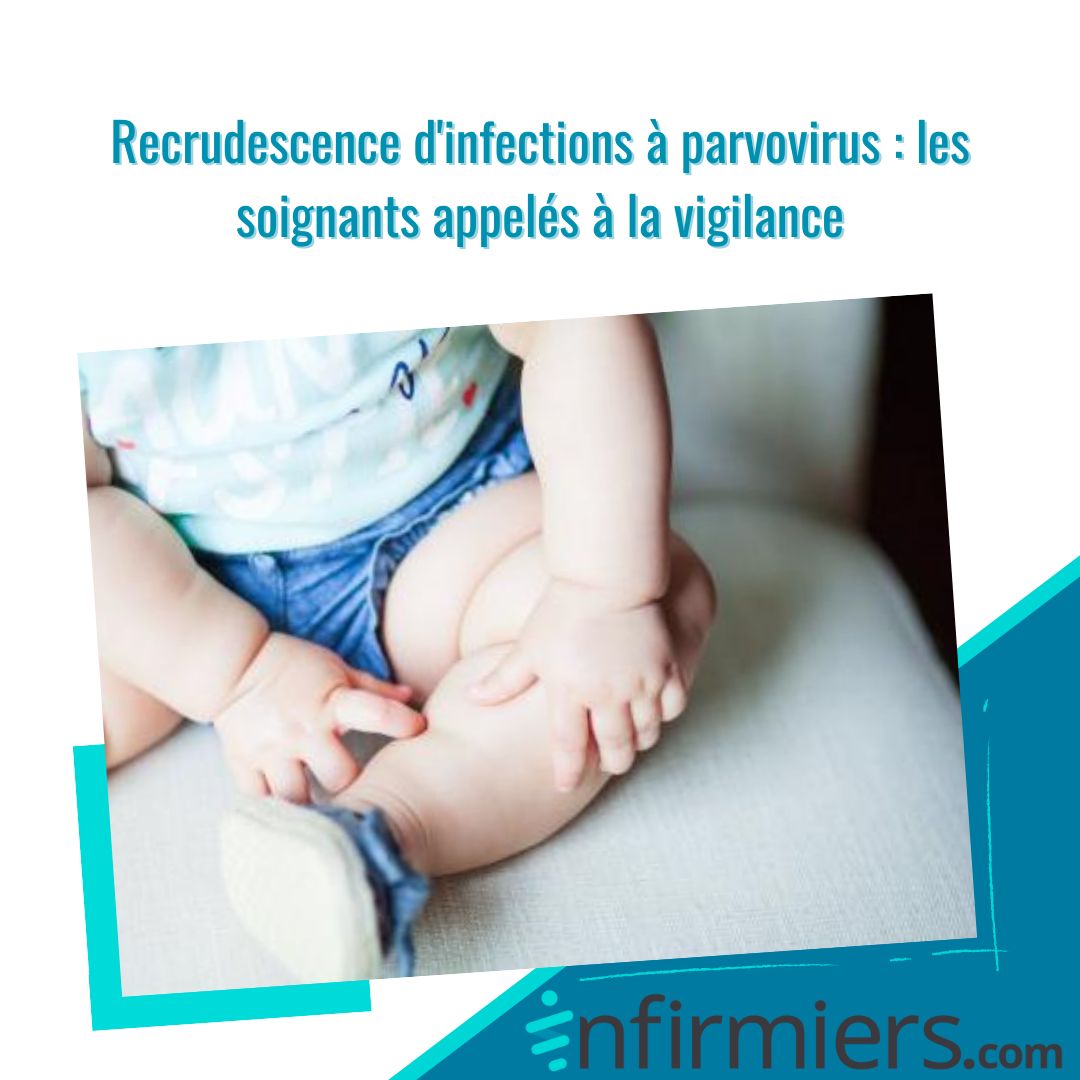 Recrudescence d'infections à parvovirus : les soignants appelés à la vigilance ➡️ buff.ly/4aNWVeN #santepublique #soignants