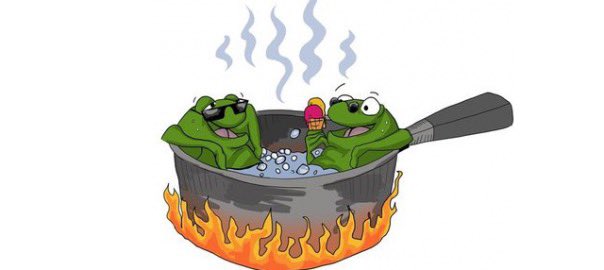 So what now ? 

“Consensus” seems to be chop suey until sept, BTC might see low 50s, eth further rekt when etf gets denied in may, alts and memes to ZERO. 

Survivors and thrivers most likely eoy to be BTC, some alts and Hayes/Ansem coin $wif 

Until then, ngl we gettin’ cooked