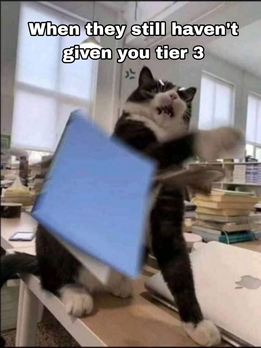 acccmohmed's tweet photo. cats + @ionet = cool memes))

My Discord - gennadiiantipov. https://t.co/I66NO1CyWk
