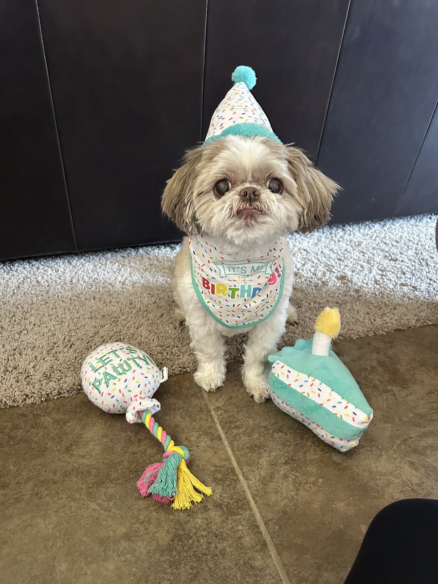mbrandsfield's tweet photo. Happy 13th birthday sweet Macy! https://t.co/DbKQV5ZiDF
