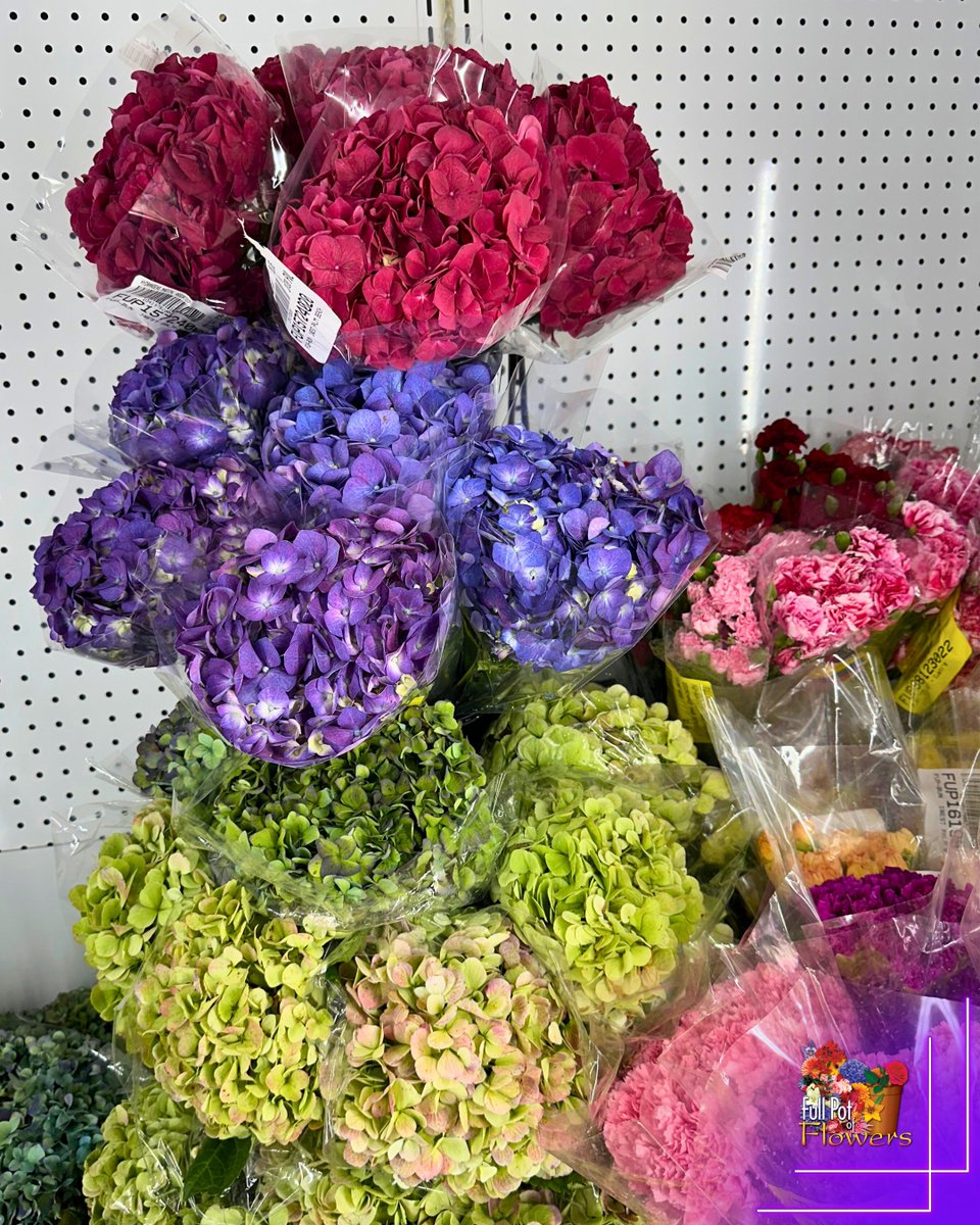 #flowersofx #wholesale #florist #flowers #fullpot #fullpotofflowers #wpb #pompanobeach #naples #wholesaleflowers