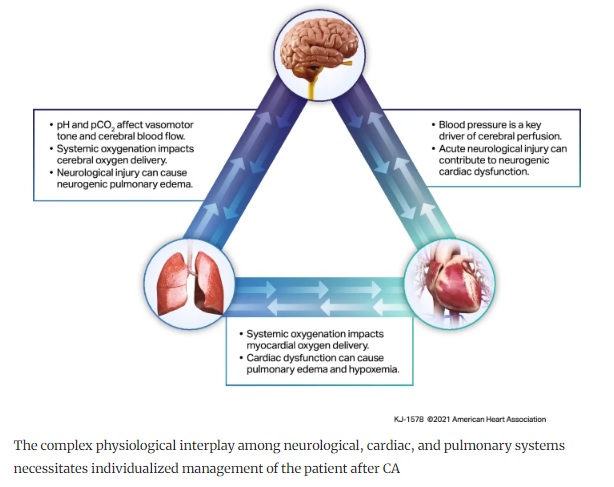 Hirsch et al: Critical Care Management of Patients After Cardiac Arrest: A Scientific Statement from the American Heart Association and Neurocritical Care Society Link: link.springer.com/article/10.100… @neurocritical #NeuroCritCare