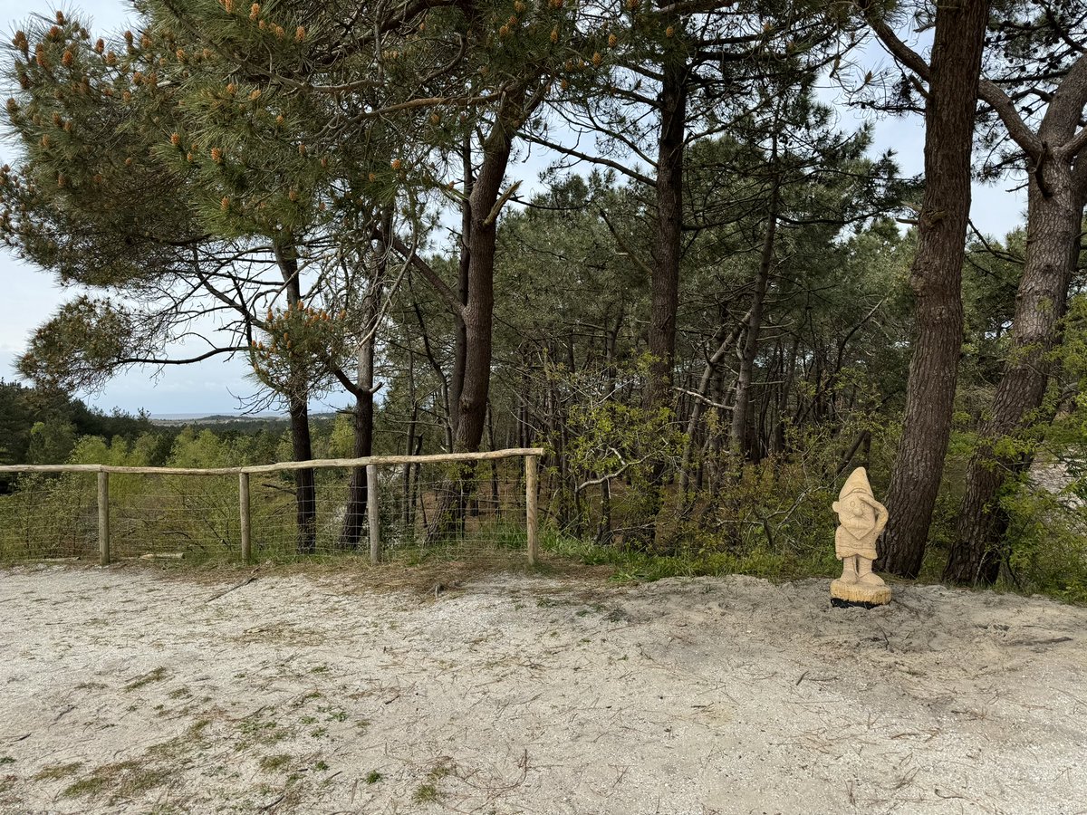 Ons kabouterpad is weer compleet!! 🤩 Met dank aan de vrijwilligers, donateurs en Jos Apeldoorn🙏🏻 Samen hebben we vandaag kabouter Zandkorrel weer op de hoogste duinenrij van Nederland gezet!! <a href="/buitenfonds/">Buitenfonds</a> <a href="/staatsbosbeheer/">Staatsbosbeheer</a>