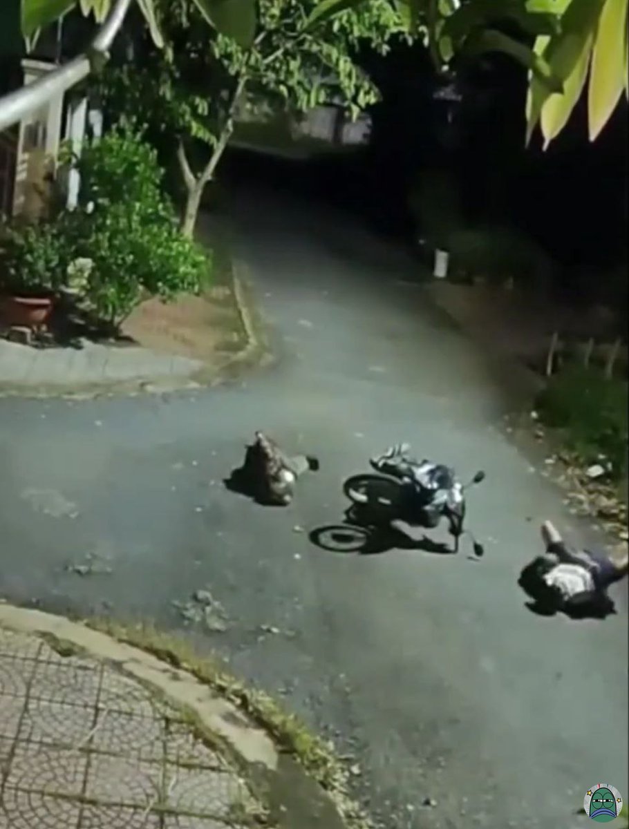 tanyarlfes's tweet image. 💚 kalo saya cuek dijalan bukan sombong, manusia udah ga ada yg bisa dipercaya soalnya😭🙏