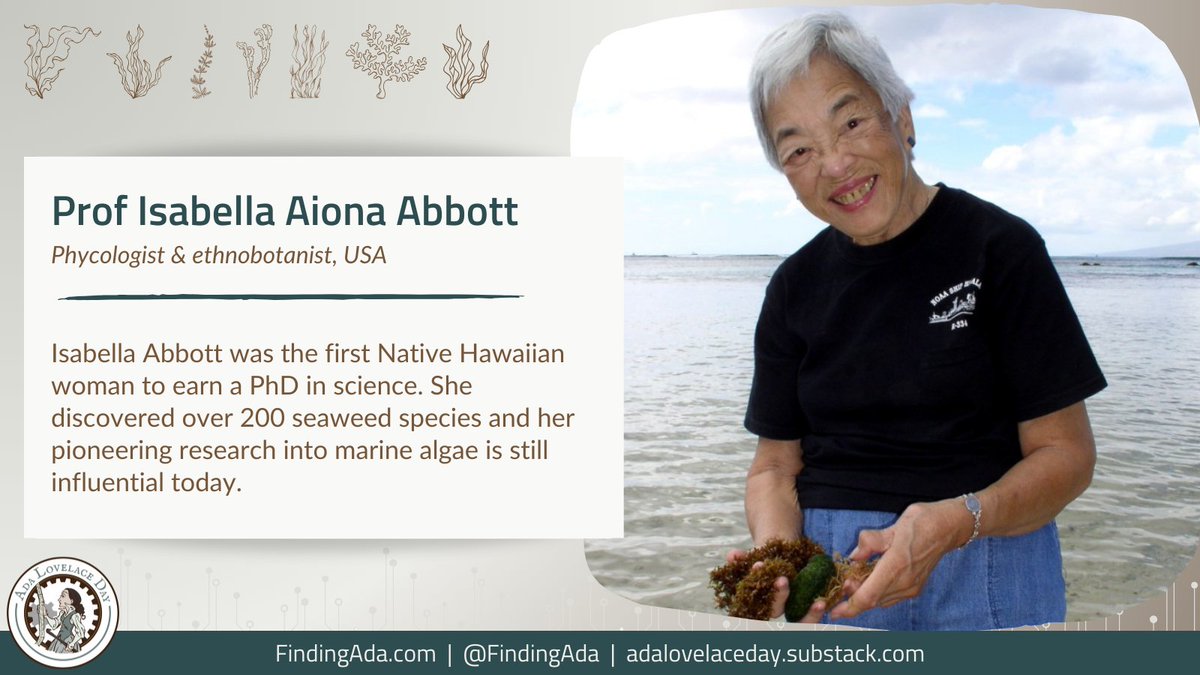 FindingAda tweet media