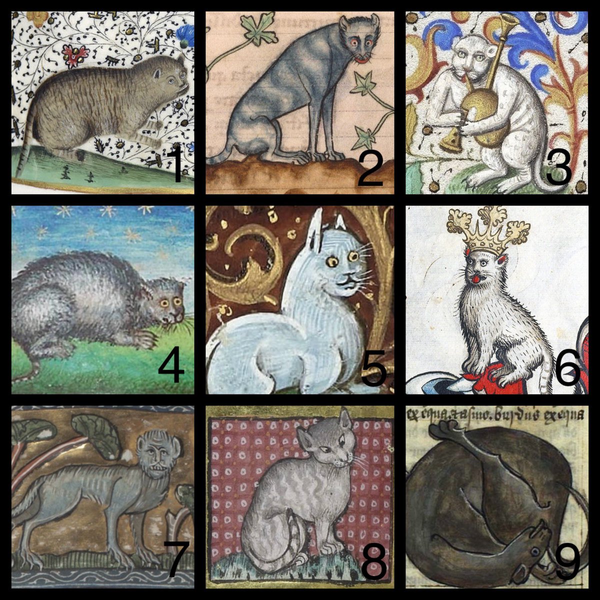 Which medieval cat are you today?