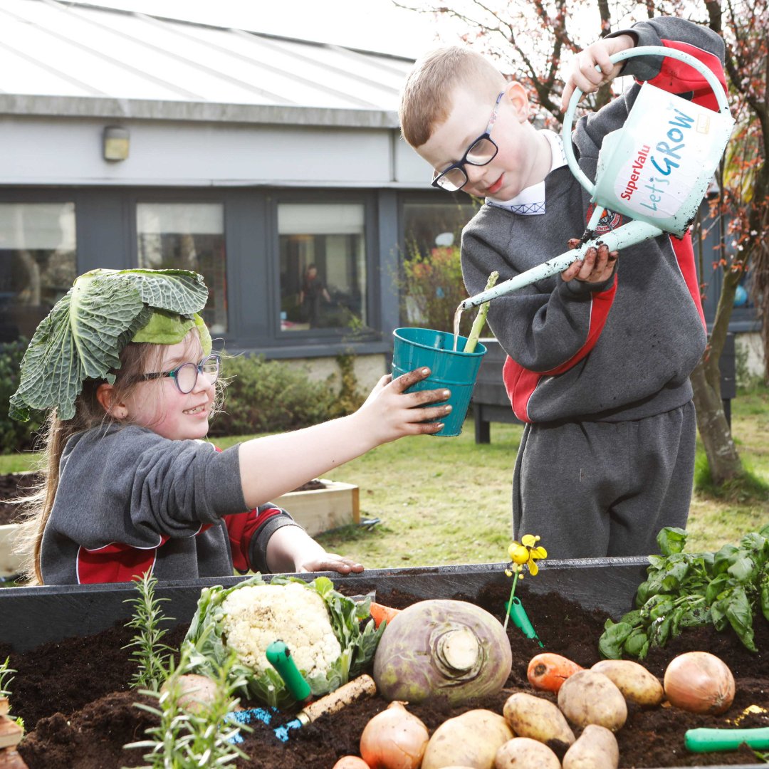 New Irish research reveals that 94% of parents believe children learning to grow food is a life skill that all children should learn Our partnership with @SuperValuIRL is significant, giving the next generation the skills to make healthier more sustainable choices for the future