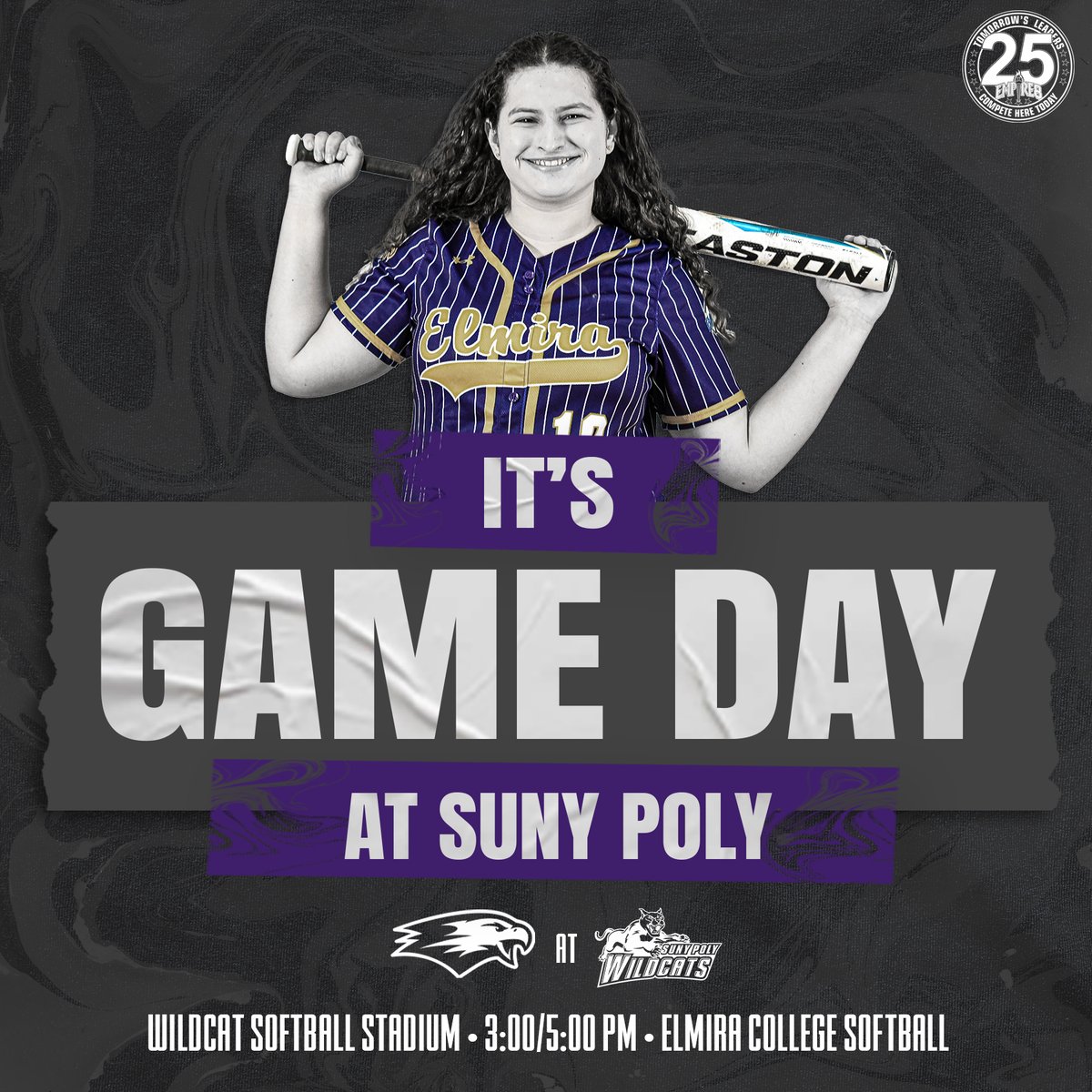 Back in action this afternoon as @ElmiraCollegeSB takes on the Wildcats as non-conference opponents for final time! 🥎☀️

🆚 SUNY Poly
🕒 3:00/5:00 PM
📍Utica, NY | Wildcat Softball Field
📊: bit.ly/3xRFo6V (G1)

#TogetherWeFly #FightOn4EC #ElmiraProud