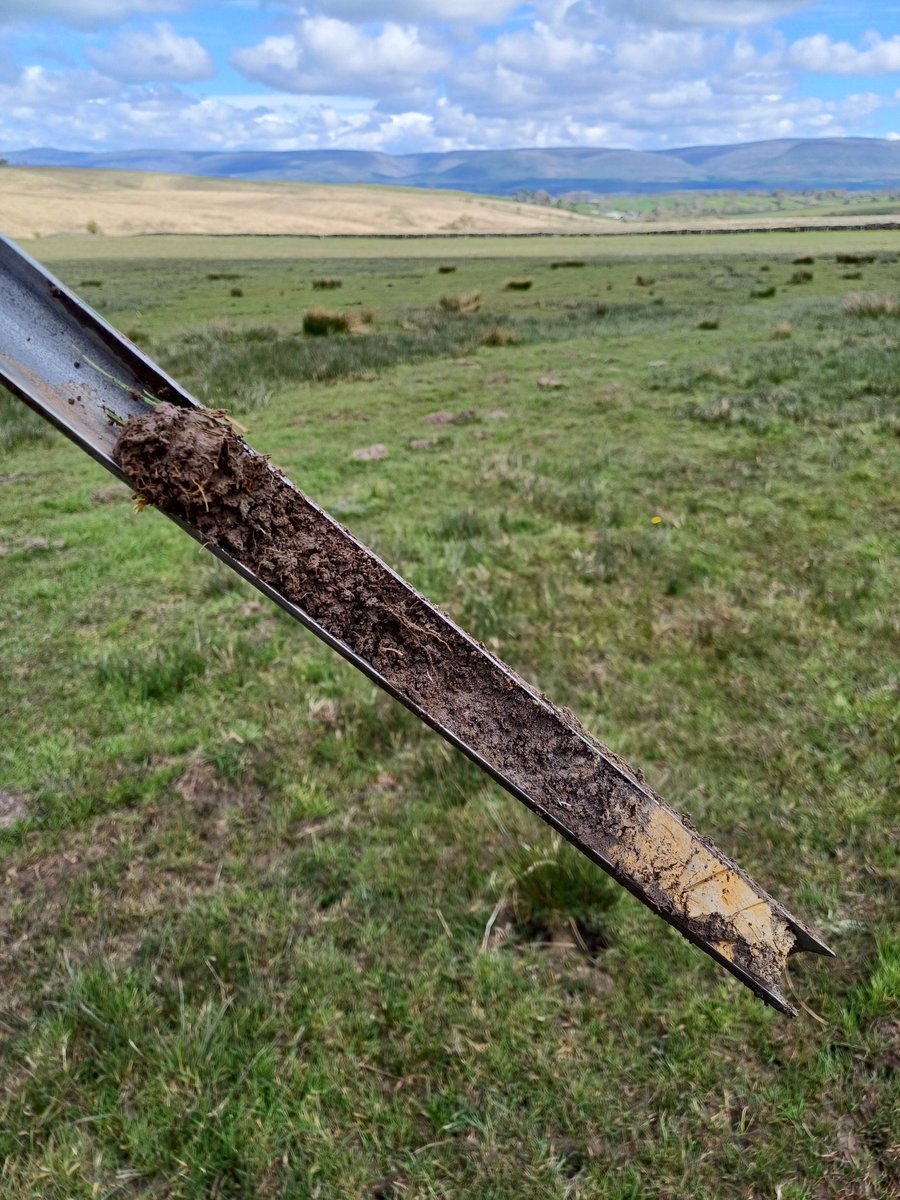 John Quinton tweet media