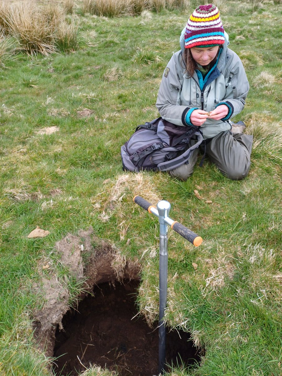 John Quinton tweet media