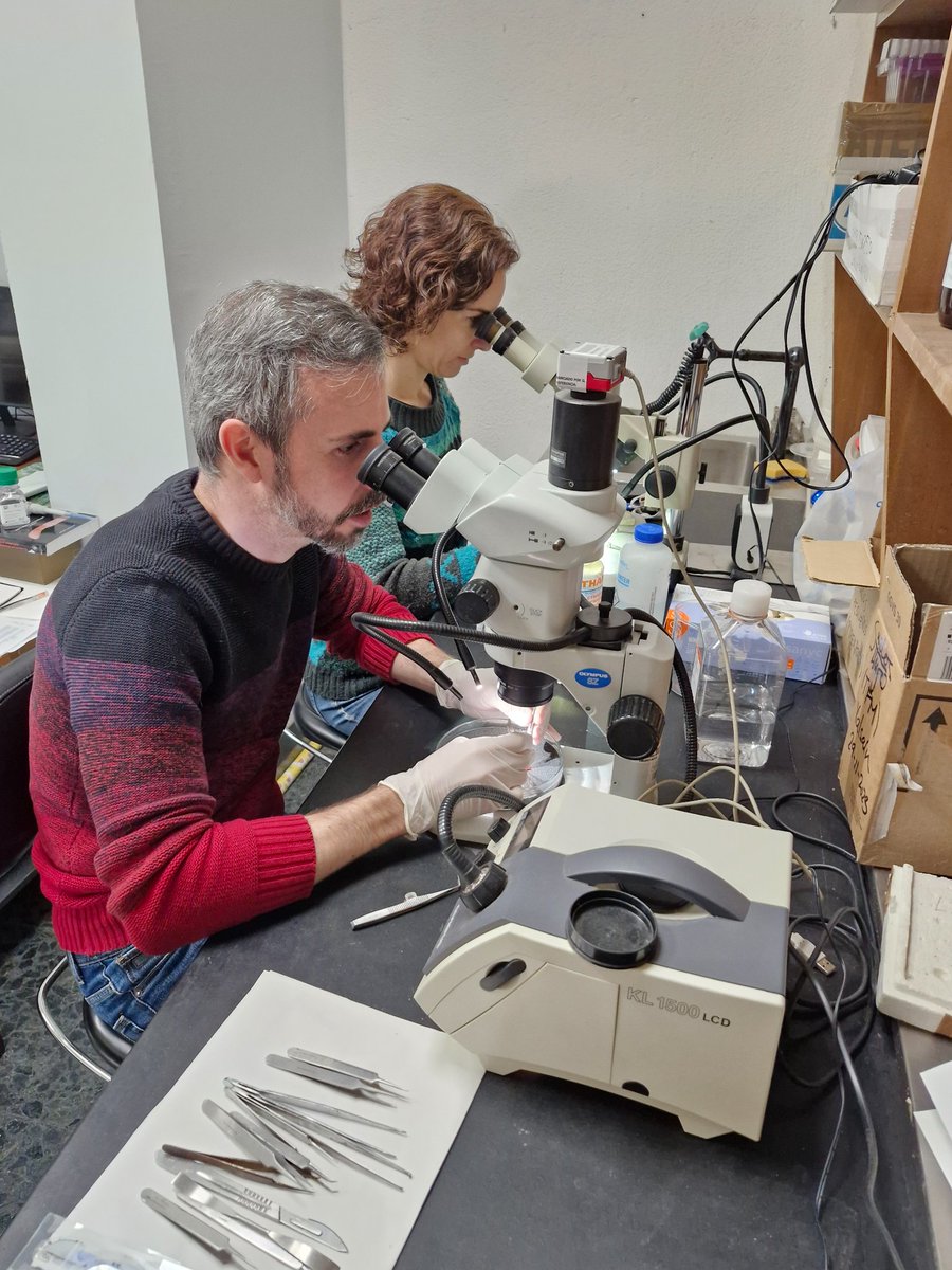 The veterans at work 👨‍🔬🔬🪱