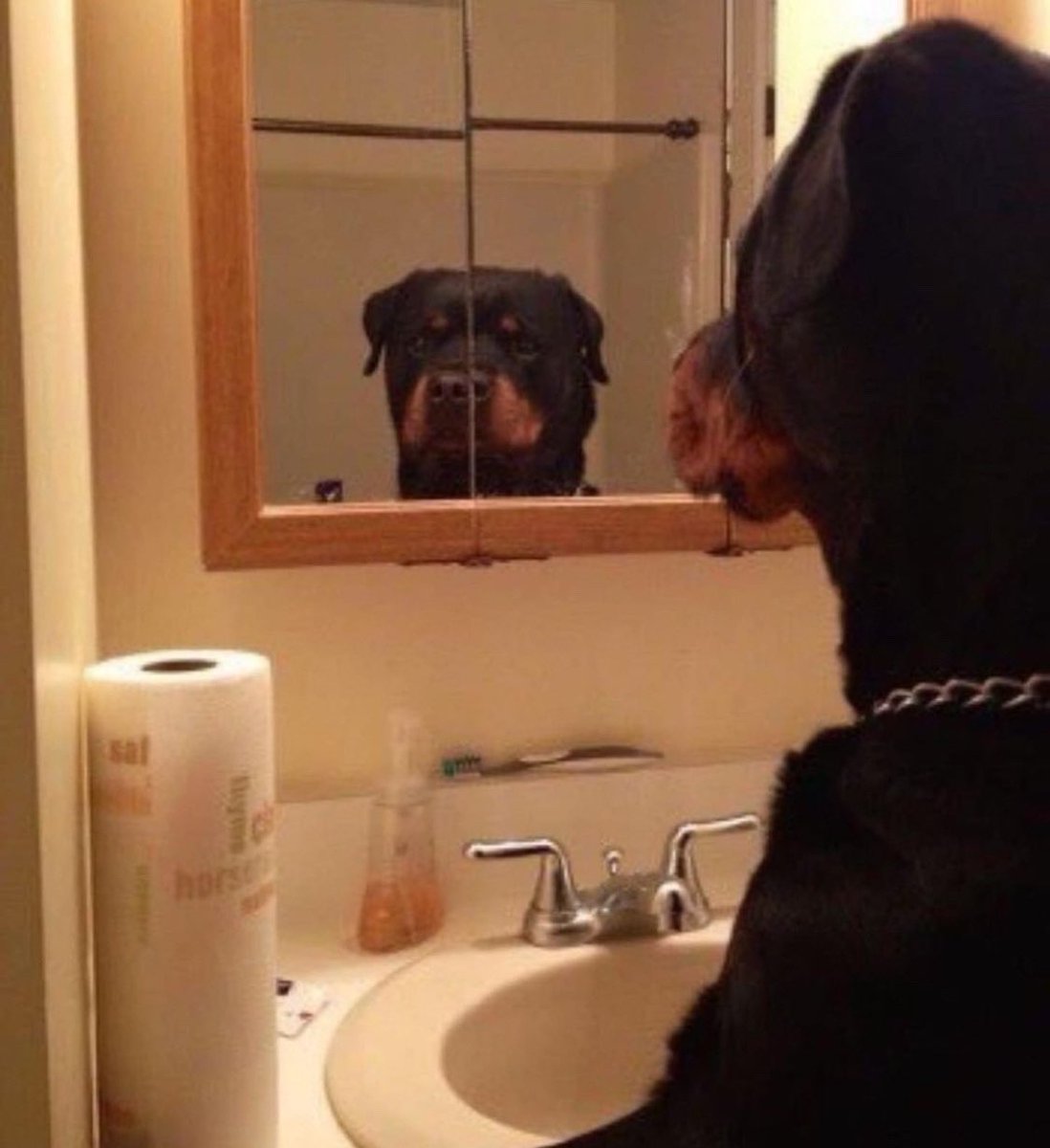just watched Monkey Man now i’m looking in the mirror like this