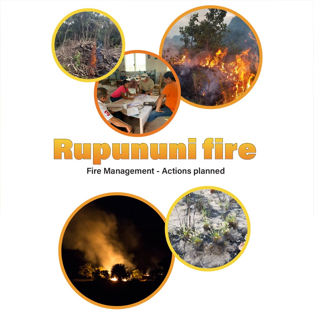 The 2023 to 2024 dry season in the Rupununi, Guyana has been particularly severe, driven by El Niño, and has led to months of fires and smoke in the region. 1/3 #RHULGeogResearch #Wildfires #Guyana #Rupununi #participatoryresearchmethods #royalholloway #rhul #Geographer