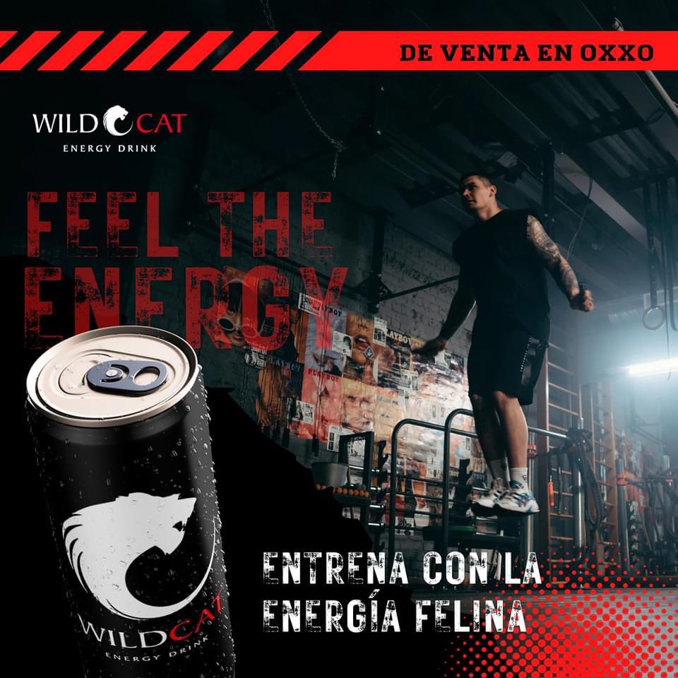 WildCat_Energy's tweet photo. Awaken your feline energy with every exercise session. WildCat Energy Drink, now available at Oxxo stores. 🐾💪 #WildCatEnOxxo #Oxxo #Mexico https://t.co/ZkkRMf9U46