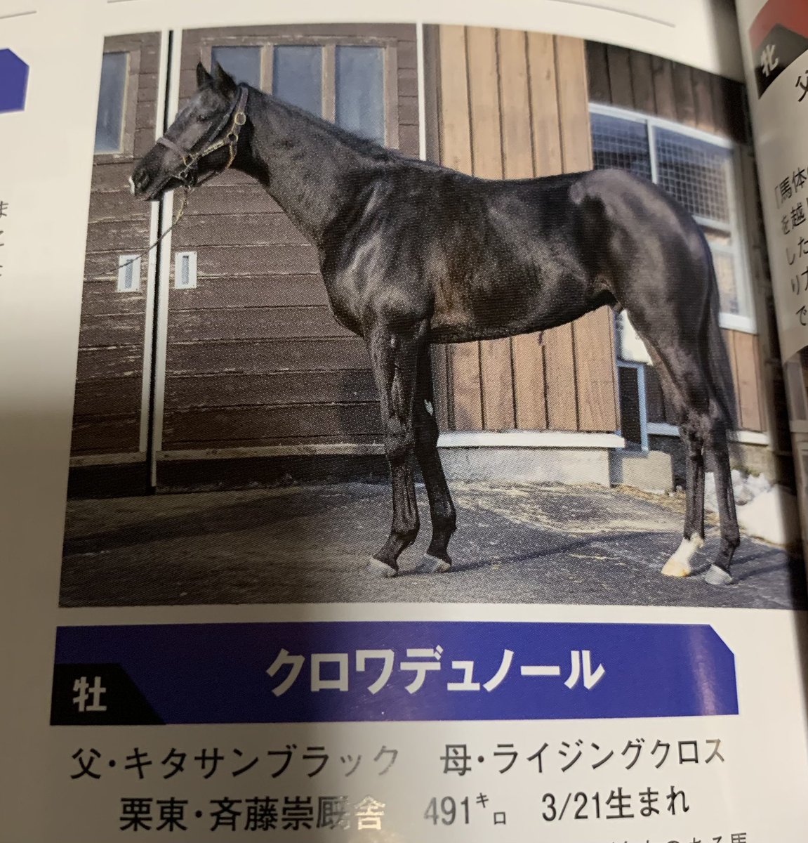 モッちゃん (@nib88vldu) / Posts / X