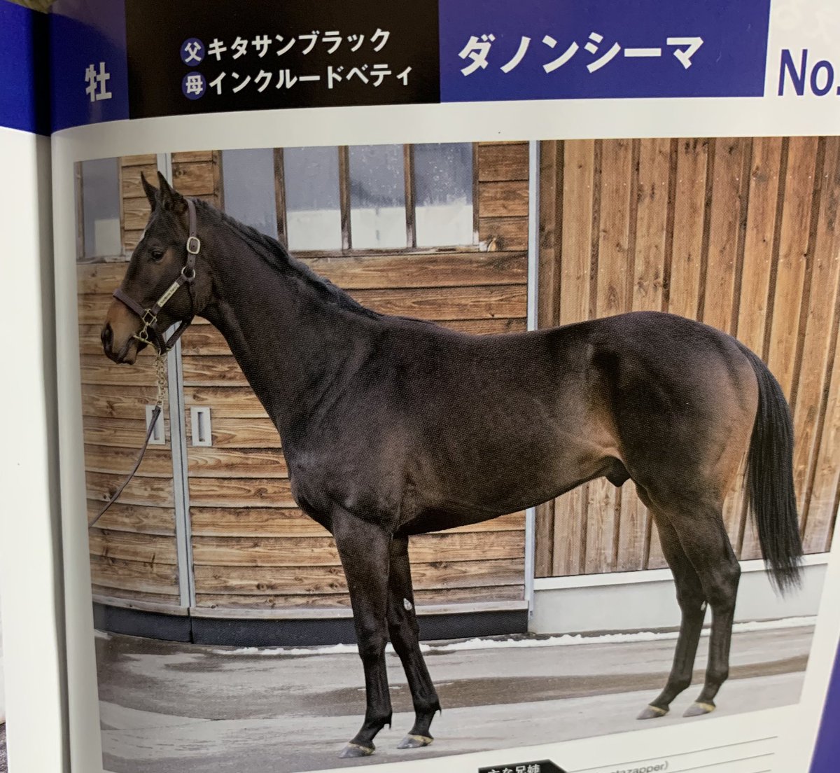 モッちゃん (@nib88vldu) / Posts / X