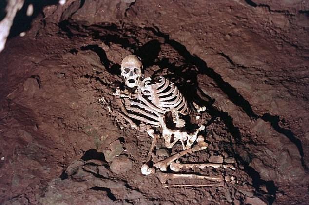 Cheddar Man is the name given to the oldest near-complete human skeleton ever found in Britain. He lived about 10,000 years ago in the Mesolithic period. His remains were discovered in 1903.