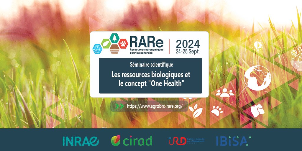 SAVE THE DATE | Séminaire scientifique RARe : Les ressources biologiques et le concept "One Health", les 24 et 25 septembre 2024 👉 url-r.fr/jzGBU