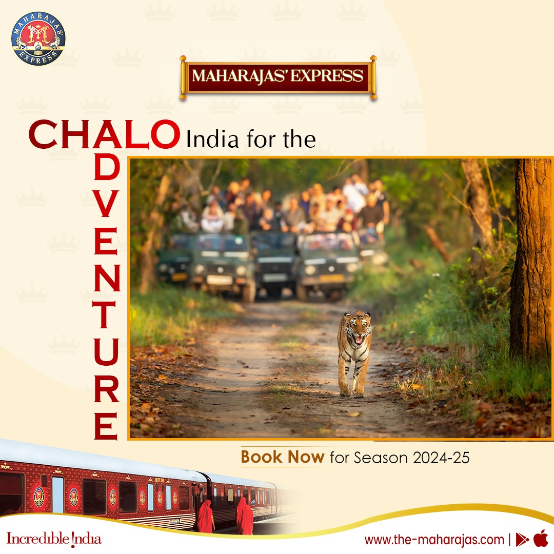 Join an exciting jungle safari to the mysterious Ranthambore National Park. Go to the-maharajas.com to book an adventure worth remembering. #ChaloIndia #incredibleindia #india #maharajasexpress #LuxuryTrainTravel #maharajas #traveler #Vacation #PlacesofIndia