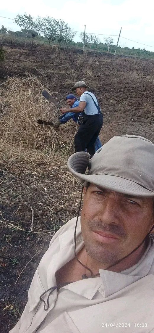 En #FloridaDeCuba se trabaja en la limpieza de tierras ociosas para emplearlas en la producción de alimentos. #ANAPCuba