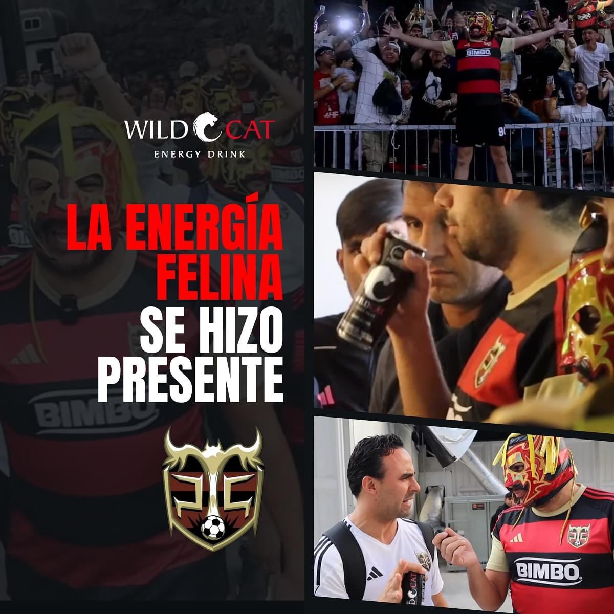 ¡No te pierdas esta oportunidad de vivir la emoción del torneo y respaldar a nuestro querido equipo Peluche Caligari en cada juego! 🌟⚽️ #FuerzaPelucheCaligari #FeeltheEnergy #WildCatEnergy
