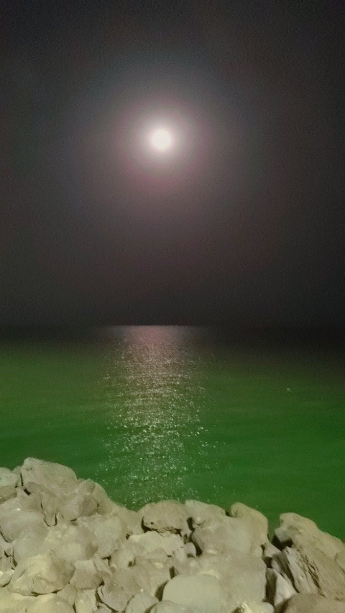 نَاجِع الصميلي (@najea22) on Twitter photo 