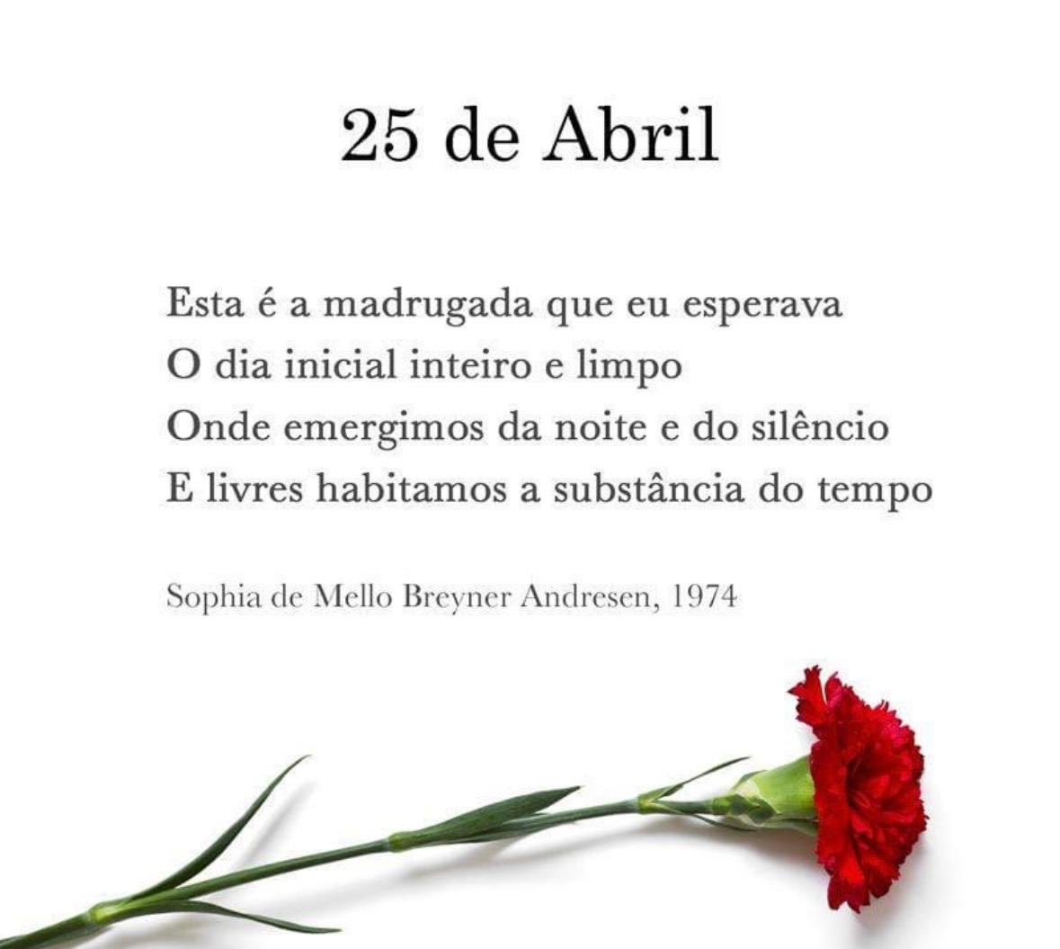 Alves Elisabete (@eaxpereira) on Twitter photo 