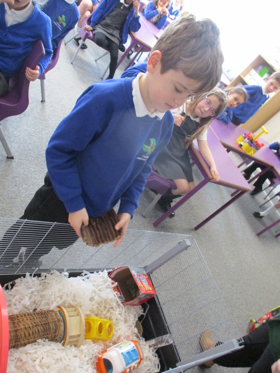 All classes across the school are having a special workshop led by @WoodgreenPets today and tomorrow. The children have enjoyed learning about caring for animals and have considered what animals need to ensure they are happy and healthy.