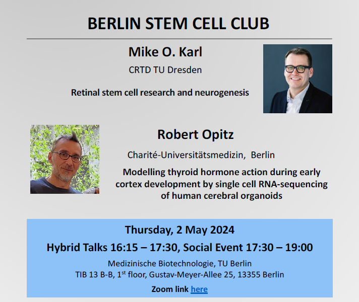 Invitation: The Berlin Stem Cell Club on 2 May will host Mike O. Karl @mokarl from @DZNE_en and Robert Opitz from @ChariteBerlin on #RetinalOrganoid and #CerebralOrganoid. Please join on-site or online, zoom link gscn.org. #stemcells #organoids @berlinnovation