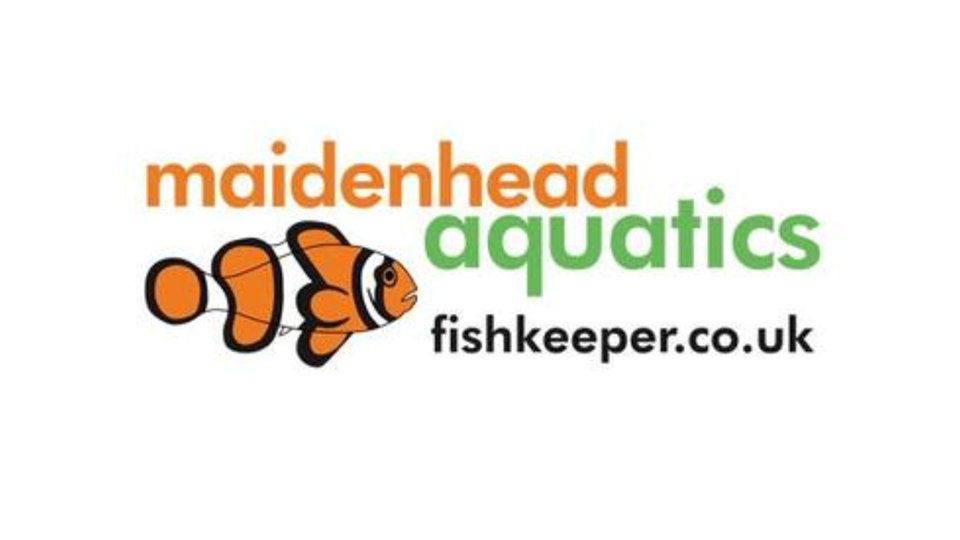 Part Time Sales Assistant required by @the_fishkeeper in Beverley

See: ow.ly/noKV50RmSZ4

#RetailJobs #HullJobs #BridlingtonJobs