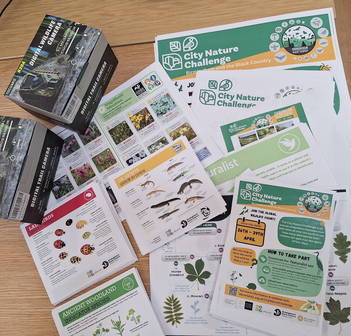 Getting ready for the #CityNatureChallenge - which starts at midnight tonight! 🐸🦇🌿