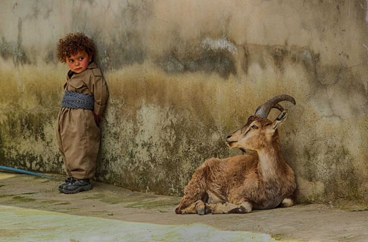 Tablo değil, Hakkari-Çukurca'da çekilen bir fotoğraf!

📸: Fahrettin Duran