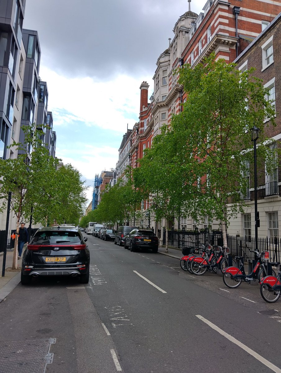 LTOA tree walk in Westminster today seeing the Fitzrovia Forest. 🤓