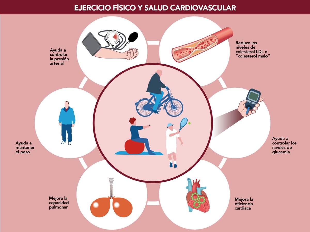 cuidarcorazon's tweet photo. 👟🥾🚲🛼⚽🥎 ¿Conoces los beneficios del ejercicio físico para tu corazón?
Son estos:
https://t.co/vc9rzw2Le1 https://t.co/8TmCK9xD6O