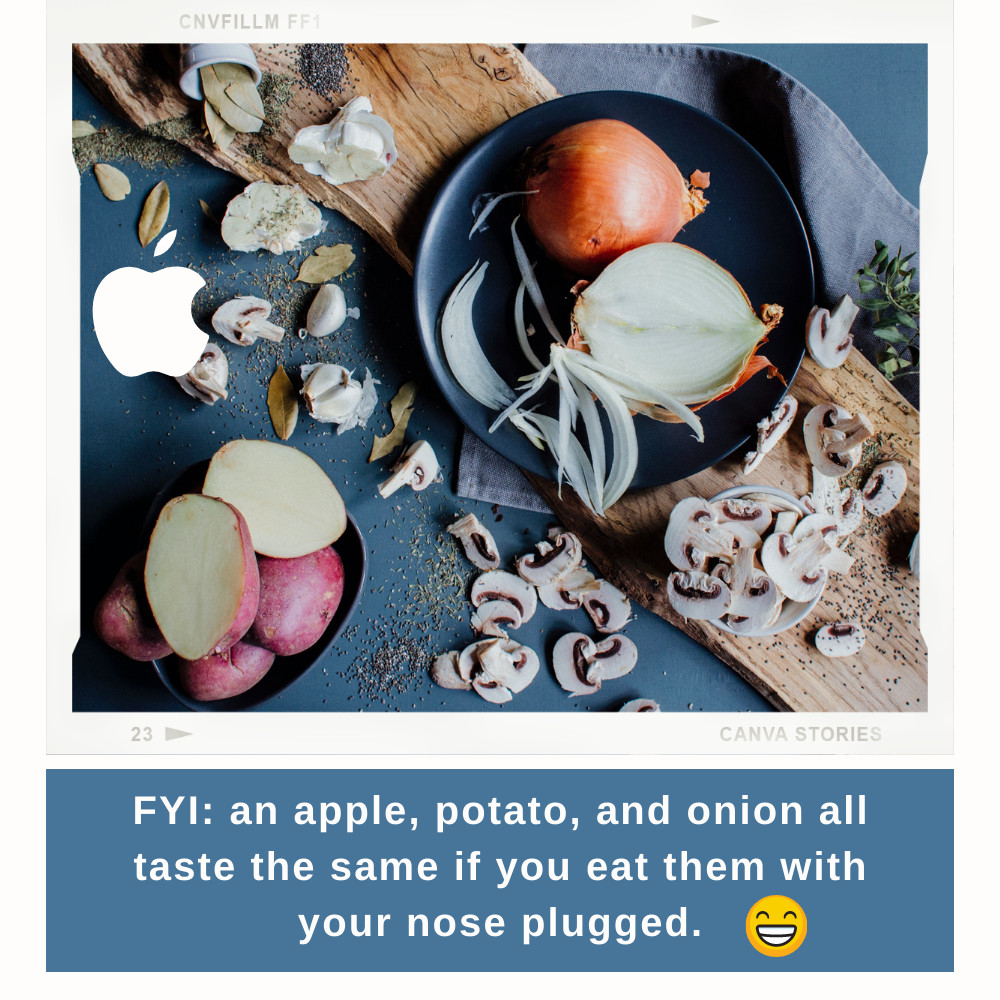 #thursdaythoughts FYI: an apple, potato, and onion all taste the same if you eat them with your nose plugged.
.
.
#lubbockinsurance #getbettertogether #freeautoquote #hettlerinsurancedotcom #homeinsurance #commercialinsurance #bizinsurance #shoplocal